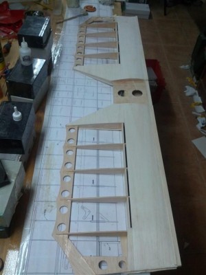 IMG_20150806_014933 (Large).jpg