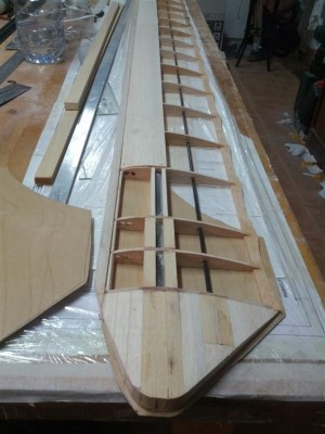 IMG_20150817_171606 (Large).jpg