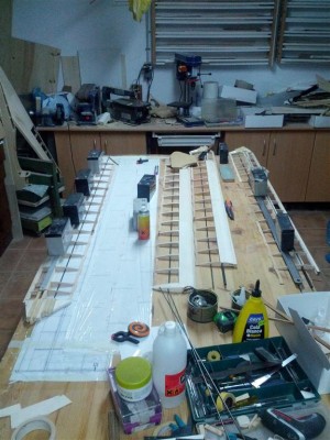 IMG_20150825_213136 (Large).jpg