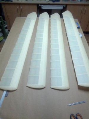 IMG_20150904_015942 (Large).jpg