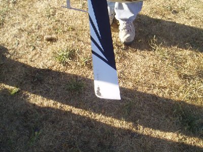 Palas rascada en invertido.jpg