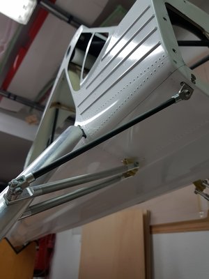 Tren Delantero 5.jpg