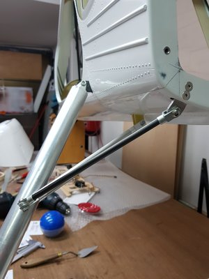 Tren Delantero 6.jpg