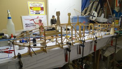 DSC01987 - copia.JPG