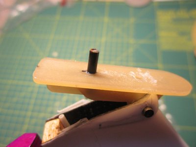 IMG_1121 (1280x960).jpg