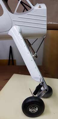 Carena Rueda der.jpg