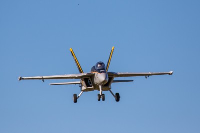 Freewing F18.jpg