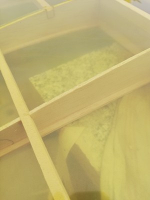 IMG_20190524_160906_resized_20190720_093955668 (1).jpg