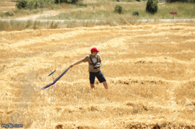 Viral F3k Launch 2.gif