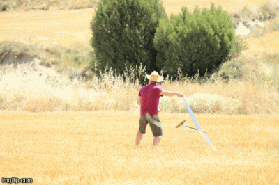 Viral F3k Launch 3.gif