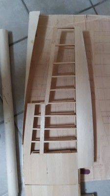 WhatsApp Image 2021-01-07 at 15.53.18.jpeg