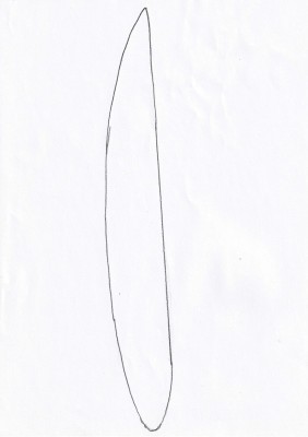 Perfil raiz avanti S 80 mm.jpeg