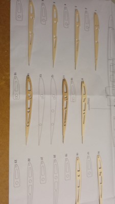 WhatsApp Image 2021-10-02 at 14.22.14 costillas.jpeg