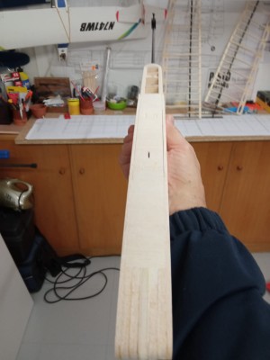 WhatsApp Image 2021-10-21 at 20.21.50 FUSELAJE LISTO PARA LIJA.jpeg