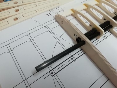 18 DIEDRO PROXIMAL 2021-10-10_113132.jpg