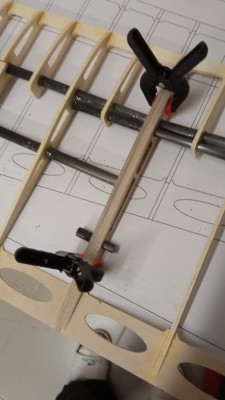 20 UNIÓN PROXIMAL 2021-10-20 at 19.38.31_UNIÓN SEMIALAS.jpeg