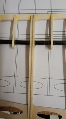 30 DIEDRO DISTAL 2021-10-20 at 19.41.22 DIEDRO DISTAL(1).jpeg