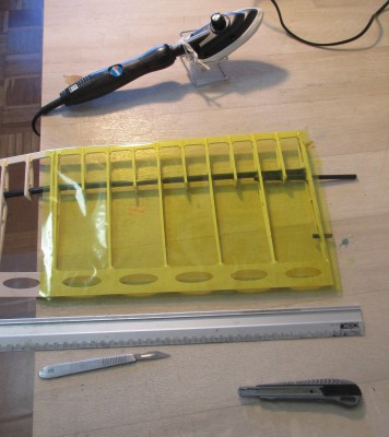 10 intrados ala derecha IMG_1976.JPG