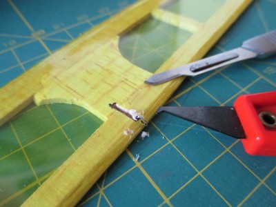 20 corte y extracción IMG_2033.JPG