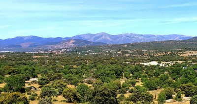 WhatsApp Image 2023-05-03 at 14.40.20.jpeg