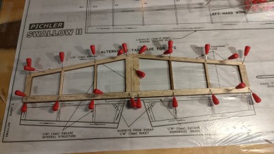 80 costillas fijadas.jpg