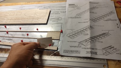 40 libero la zona de raíz.jpg