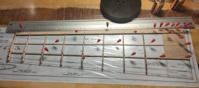 47 costillas salvo raíz.jpg