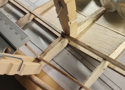 41 Raíz alineada.jpg