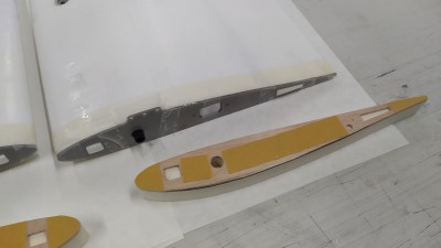 COSTILLA RAIZ ALA1.jpg