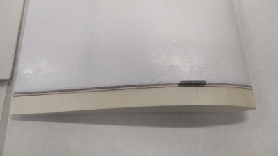 COSTILLA RAIZ ALA 2.jpg