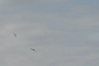 el hermanisimo persiguiendome a mi.jpg