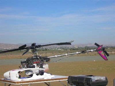 SANY0116 (Medium).JPG