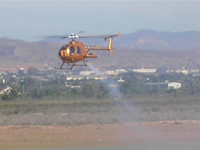 SANY0111 (Medium).JPG