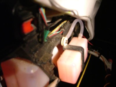 DSCF8981 (Medium).JPG