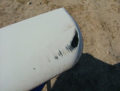 DSCF8883 (Medium).JPG