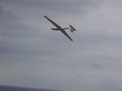 Copia de FOX ESTRENO 002.jpg