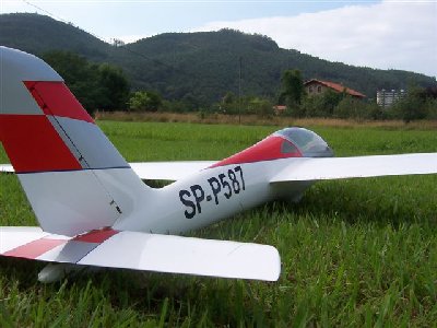 FOX TERMINADO 006.jpg