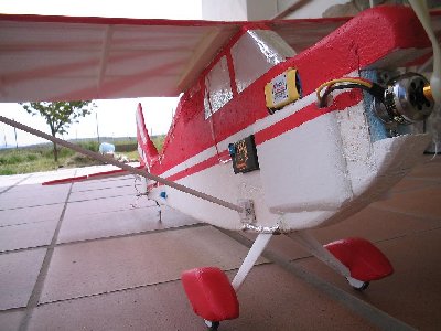 citabria terminada 1.JPG