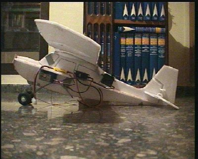 Citabria americano lectronicaII.JPG