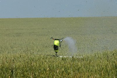 Internet Explorer Wallpaper.jpg