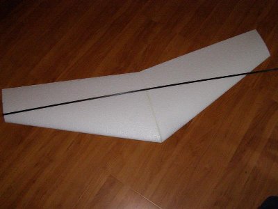 P6190069 (Medium).JPG