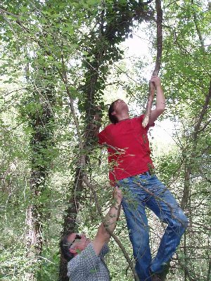 sacalo como puedas.jpg