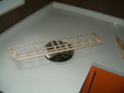 Baby Flite Streak (1).JPG