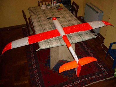 Glider ELBATROS 027.jpg