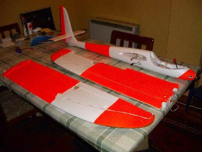 Glider ELBATROS 005.jpg