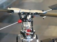 kasama trex 600 nitro.jpg