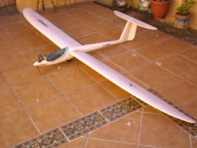 condor 003.jpg